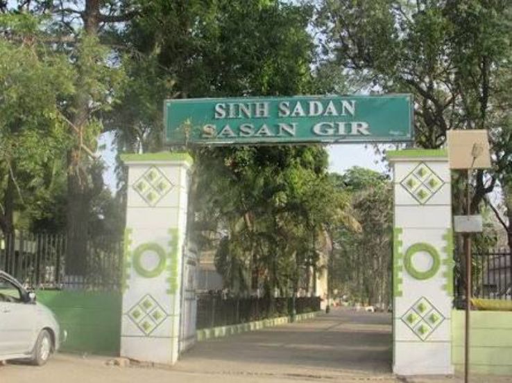 Sasan Gir Museum  Trip Packages